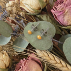 Pair of earrings with orange beads on green leaves surrounded by dried flowers and plants
