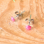 pink dot stud earrings on a wooden surface